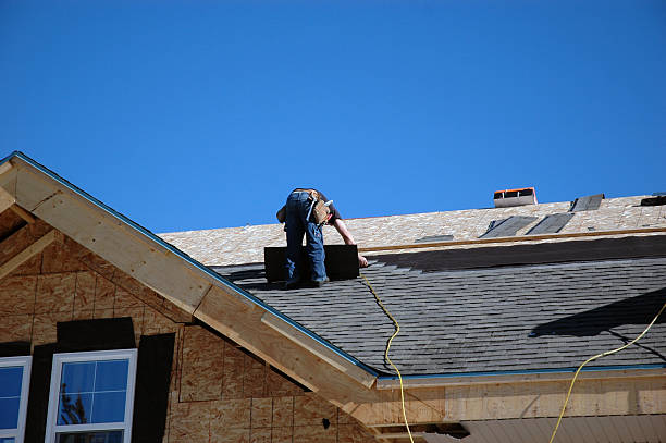 Best Roof Moss and Algae Removal  in Cadott, WI