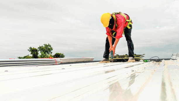 Best Asphalt Shingle Roofing  in Cadott, WI