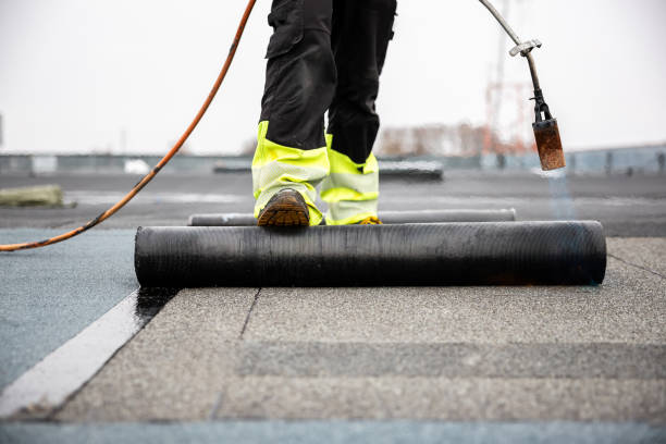 Best Metal Roofing Installation  in Cadott, WI