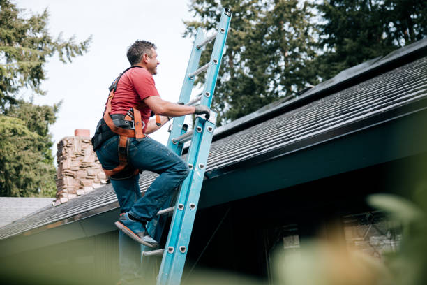 Best Asphalt Shingles Roofing  in Cadott, WI
